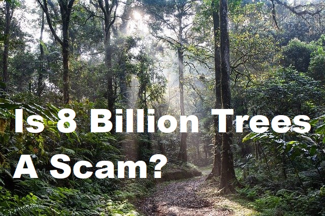 is 8 billion trees a scam