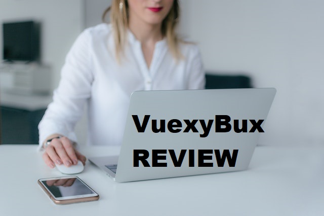 Vuexybux review